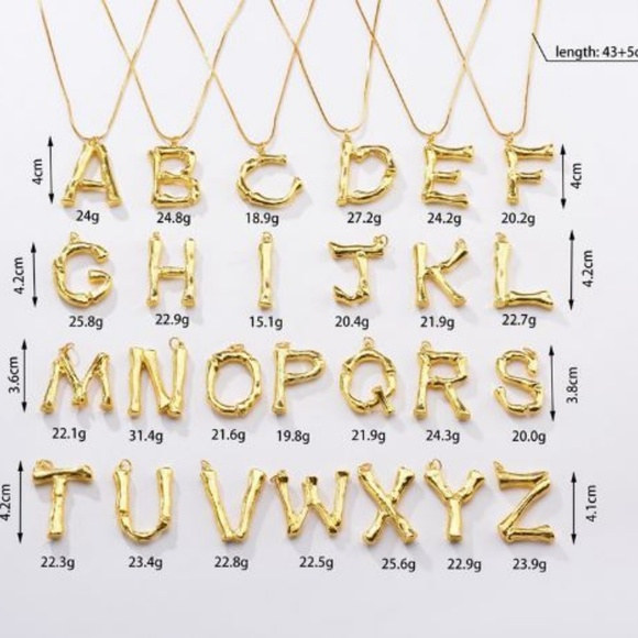 Any 2 $27 Gold P Initial Bamboo Necklaces - Picture 4 of 8